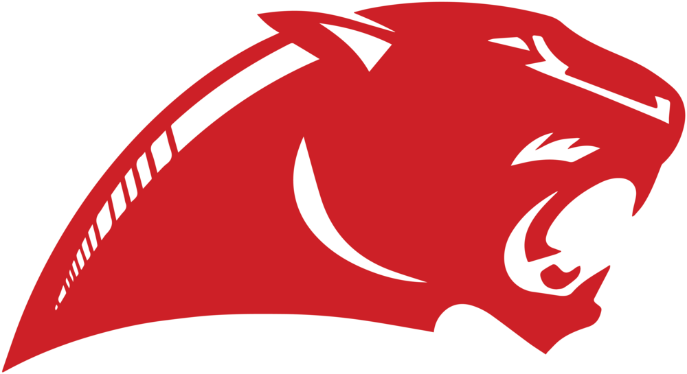 Panther head Logo