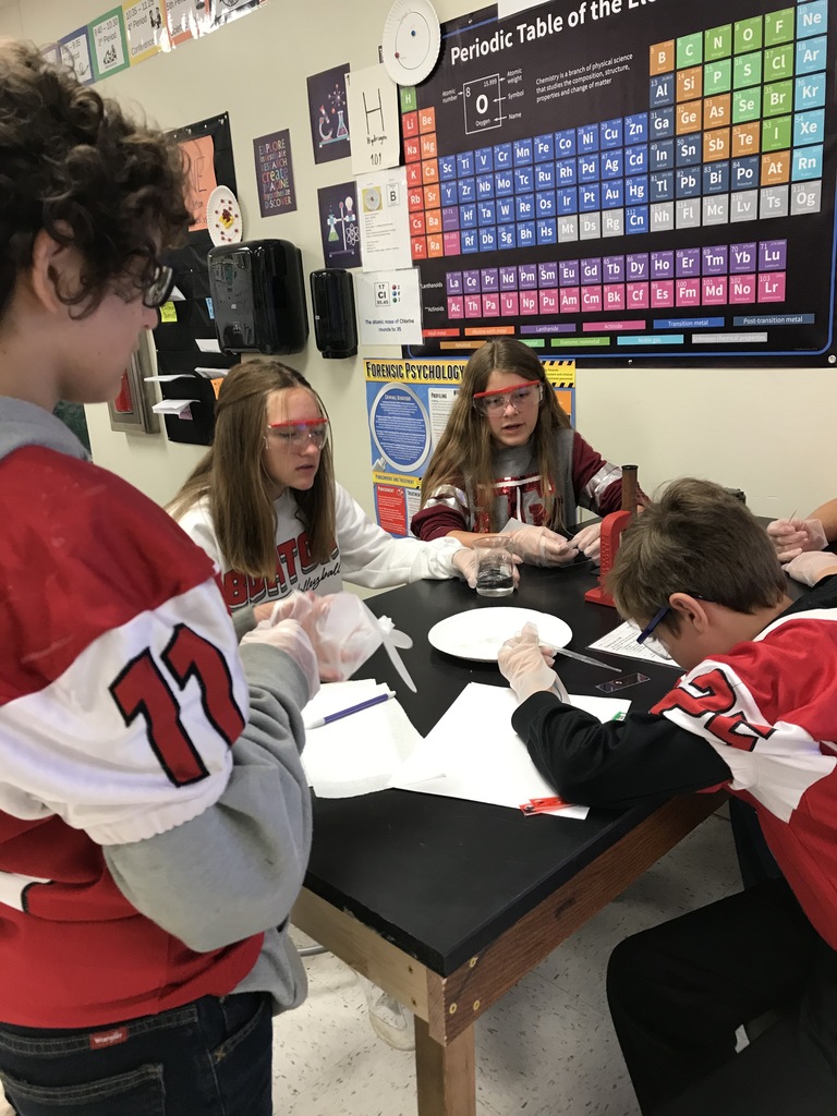 Students make microscope slides with their cheek cells