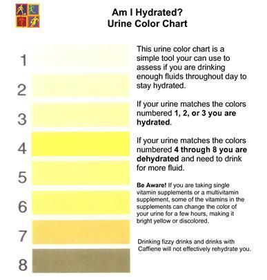 Am I Hydrated Urine Chart
